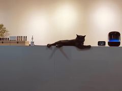 -MOJO密室逃脱(中街旗舰店)