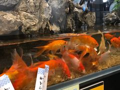 -舟小鲜·舟山小渔村(凤城四路中登广场店)