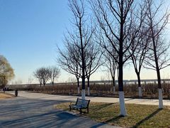 -永定河休闲森林公园