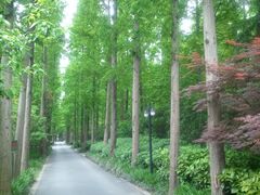 外景-上海怡沁园度假酒店