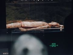 -亳州博物馆