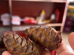 -粘豆包柴火铁锅炖