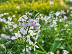 -西南政法大学(渝北校区)