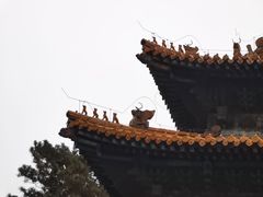 -沈阳市东陵公园