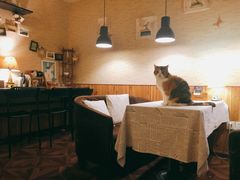 卡座-隅cafe(傅厚岗店)