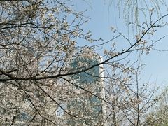 -西北湖绿化广场