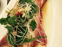 清蒸东星斑-广州文华东方酒店·江-由辉师傅主理