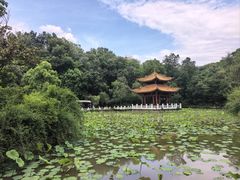 -富乐山