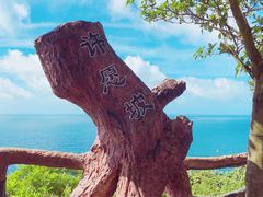 -放鸡岛生态旅游国际度假区