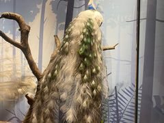 -陕西自然博物馆