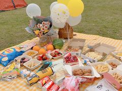 -南汇嘴观海公园