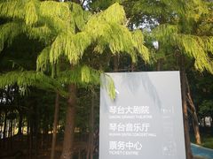 -月湖风景区