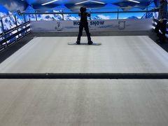 -Hopo Snow 城市滑雪空间(滨江宝龙城店)