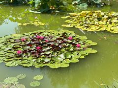 -国家植物园南园