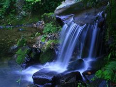 -牛背梁国家森林公园