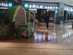 -春润大地海南椰子鸡(沙井京基百纳广场店)