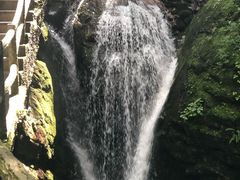 -牛背梁国家森林公园
