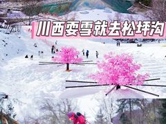 -叠溪松坪沟景区