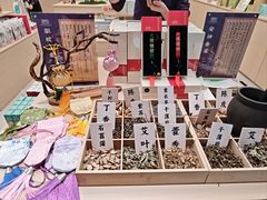 -广州白云国际机场-T2航站楼