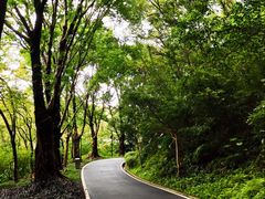 -广州雕塑公园