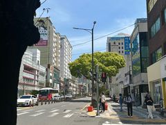-莲洞本家