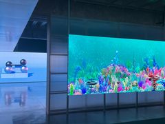 -现代汽车文化中心 Hyundai Motorstudio Beijing