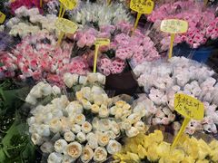 -循礼门鲜花花市(武汉循礼门店)