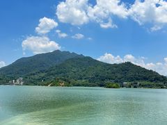 -广州市流溪河国家森林公园