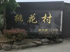-南汇桃花村