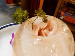 冰川鹅肠-蜀大侠火锅(春熙路店)