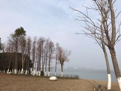 -上海滴水湖皇冠假日酒店