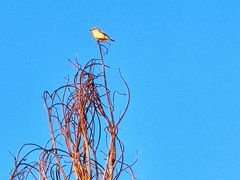 -风云岭森林公园