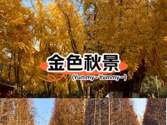 -桤木河湿地公园