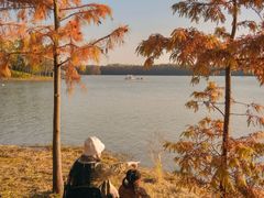 -上海海湾国家森林公园