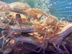 -曼格活海鲜·牛排自助(光明蓝鲸店)