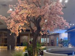 -东方之珠洗浴休闲广场(南开店)