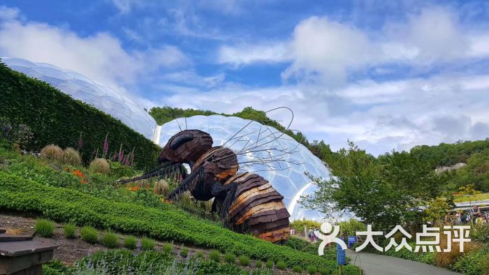 伊甸园植物园图片 - 第1张