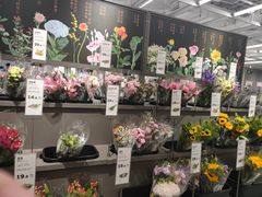 -鹿岛会员店(熙地港店)