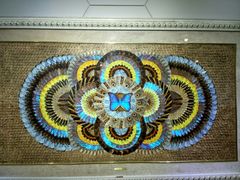 -上海昆虫博物馆