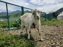 -新疆那拉提国家旅游度假区