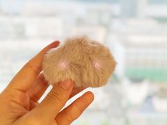 -猫员外精酿啤酒馆(壹海城店)