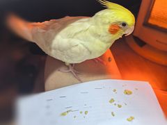 -雨林宠物医院 非犬猫异宠专科