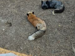 -祥源·阜阳生态乐园