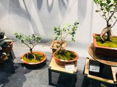 -永丰生活广场(步行街店)