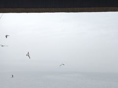 -悦海公园