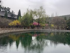 -晋祠公园