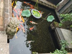 -馨园villa融合菜(东山店)