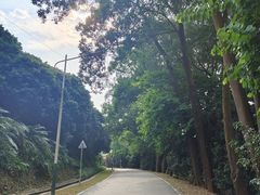 -风云岭森林公园