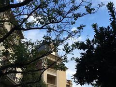 -中旅阿那亚九龙湖·公主酒店