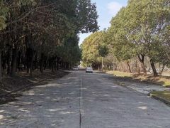 -胜华驾校·小猫学车(银都店)
